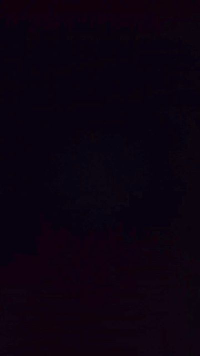 Joshissingle31 from United States