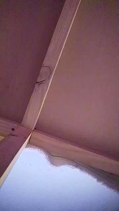 dulcevita_sexy from Chile
